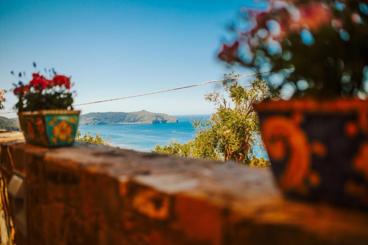 Residenza Golfo Degli Ulivi Aparthotel คาปริโอลิ ภายนอก รูปภาพ